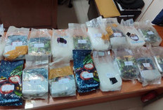 Polda Lampung Gagalkan Penyelundupan Sabu 17,29 Kg Senilai Rp25,5 Miliar di Exit Tol Bakauheni