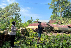 Puting Beliung Terjang Banyu Urip Wonosobo, 13 Bangunan Rusak, Satu Pohon Tumbang