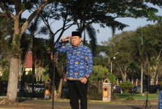 Wabup Lamtim Azwar Hadi Pimpin Upacara Peringatan Hari Otonomi Daerah ke 30 