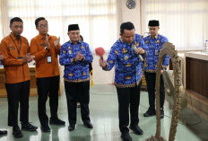 Sensus Ekonomi 2026 di Lampung Barat, Libatkan 329 Petugas Lapangan 