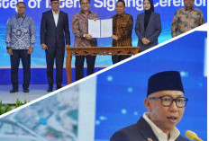 Lampung Dorong Hilirisasi Komoditas Unggulan, Gubernur Mirza Komitmen Jadi Pusat Investasi Sumatera