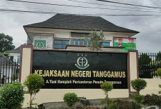 Tepis Isu 'Masuk Angin', Kejari Tanggamus Tegaskan Akan Usut Dugaan Penyimpangan di Disdikbud