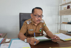 Kasus DBD Capai 382, Pemkot Imbau Warga Perketat 3M Plus