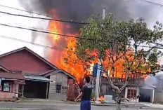 Breaking News: 1 Rumah di Canggu Batu Brak  Habis Terbakar, 3 Unit Damkar Dikerahkan