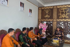 Parosil Imbau Warga Lambar Beri Data Jujur Pada Sensus Ekonomi 2026