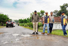 Tinjau Jalan Rusak di Pesawaran, Gubernur Mirza Pastikan Perbaikan Permanen Setelah Lebaran