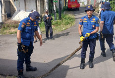 Damkarmat Bandar Lampung Evakuasi Ular hingga Anak Tersesat Selama Libur Idul Fitri