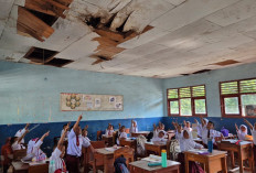 Miris! Atap SDN 16 Gedong Tataan Nyaris Ambruk, Siswa Memohon: Ibu Bupati, Tolong Perbaiki Sekolah Kami