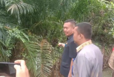 Terbukti Melanggar, PT.KAP Tanam Sawit Dekat Sungai, DPRD Siap Tindak