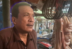 Harga Daging Sapi di Kota Metro Naik, Omzet Pedagang Anjlok