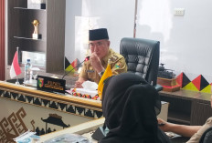 Bupati Tanggamus: Pengembangan Kopi Harus Tingkatkan Produktivitas Petani