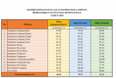 Pemprov Lampung Pacu Perbaikan Jalan, Kondisi Jalan Kabupaten Memprihatinkan