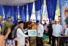 Presiden Prabowo Serahkan Sapi Kurban Jumbo 1,1 Ton untuk Pemprov Lampung
