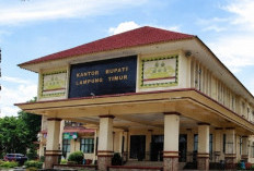 Revisi RTRW Mandek, Peluang Investasi Lampung Timur Terancam Hilang