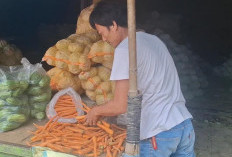 Harga Wortel di Kota Metro Meroket, Penjualan Turun Drastis