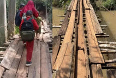 Lintasi Jembatan Gantung di Tanggamus Siswa SD Nyaris Terjatuh ke Sungai Deras