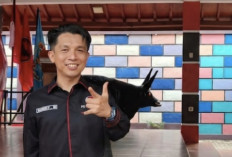 Harga Beras Naik, Tommy Gunawan: Rakyat Berhak Suarakan Keluhan