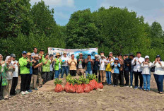 Gotong Royong Hijau, Forum CSR Lampung Tanam 4.000 Mangrove