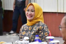 Usai Diperiksa BK, Anggota DPRD Heti Friskatati Dicopot dari Jabatan Ketua KPPG Golkar Bandar Lampung