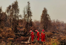 Karhutla di Kaltim: Ketika Api Warga Diburu, Konsesi Dipertanyakan