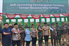 Ela Perjuangkan Warga Penyangga TNWK, Konflik Gajah Ditargetkan Nol 2026