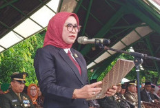Hari Pahlawan, Ria Hartini Ajak Warga Metro Teladani Semangat Pejuang