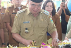 Bupati Tanggamus Resmikan Fasilitas Kesehatan Lengkap RSUD Batin Mangunang