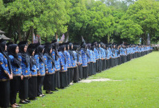 Gaji PPPK Paruh Waktu Lambar Naik Oktober 2026, Terendah Jadi Rp750 Ribu