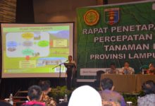 Kostratani Perkuat Penyuluh Pertanian Lampung