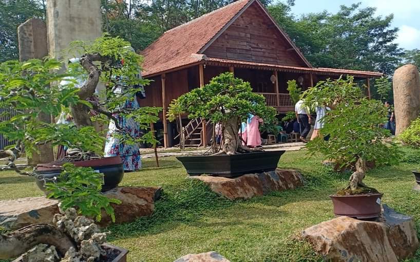 Bupati Umar Ahmad : Tanaman Bonsai Filosopi Keseimbangan Kehidupan