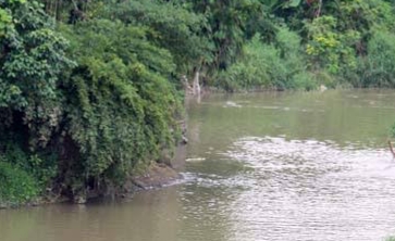 Peduli Lingkungan BPBD Tubaba Gagas Program Reboisasi-Naturalisasi DAS