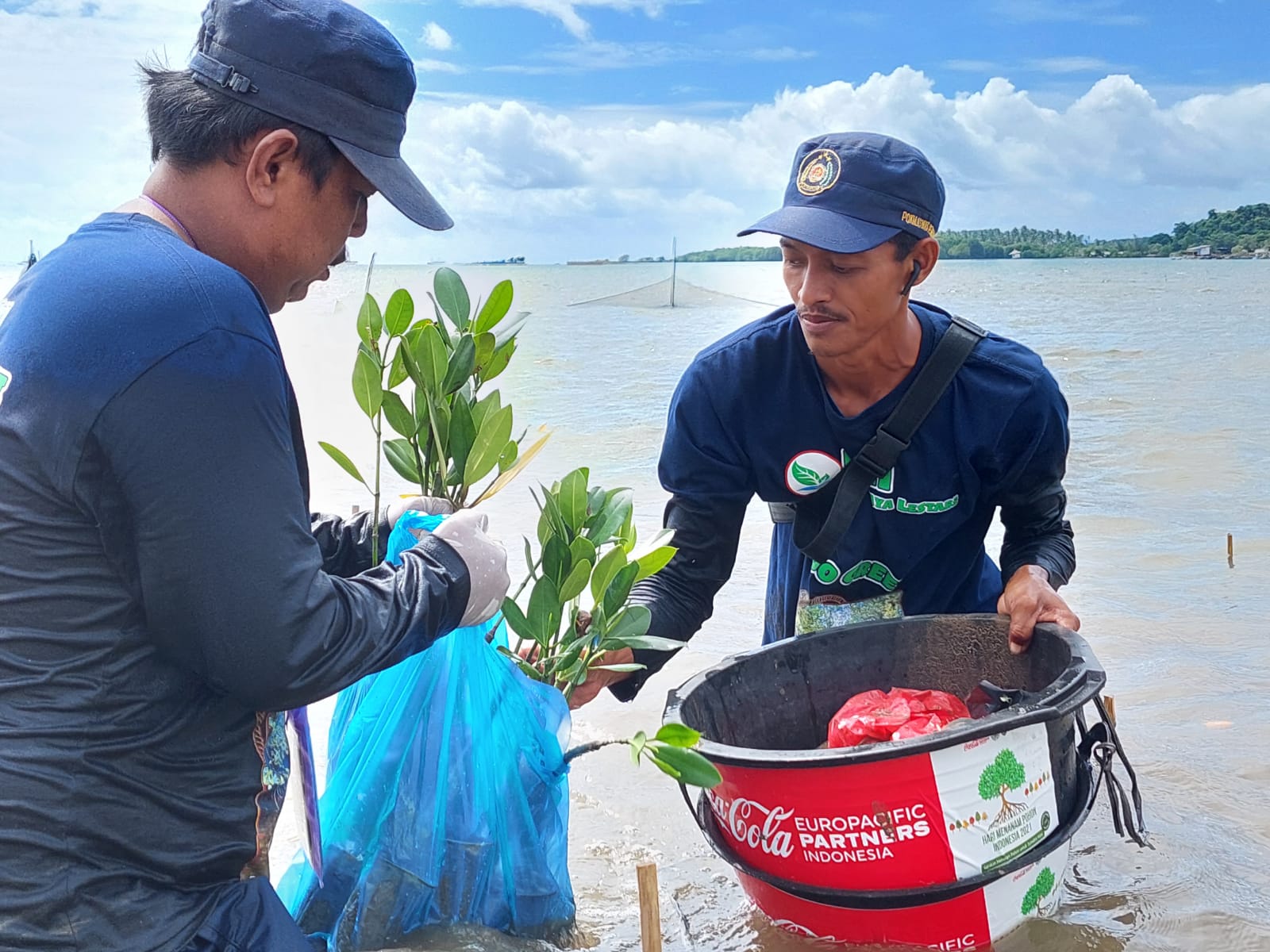 CCEP Indonesia Tanam Mangrove di Cuku Nyinyi